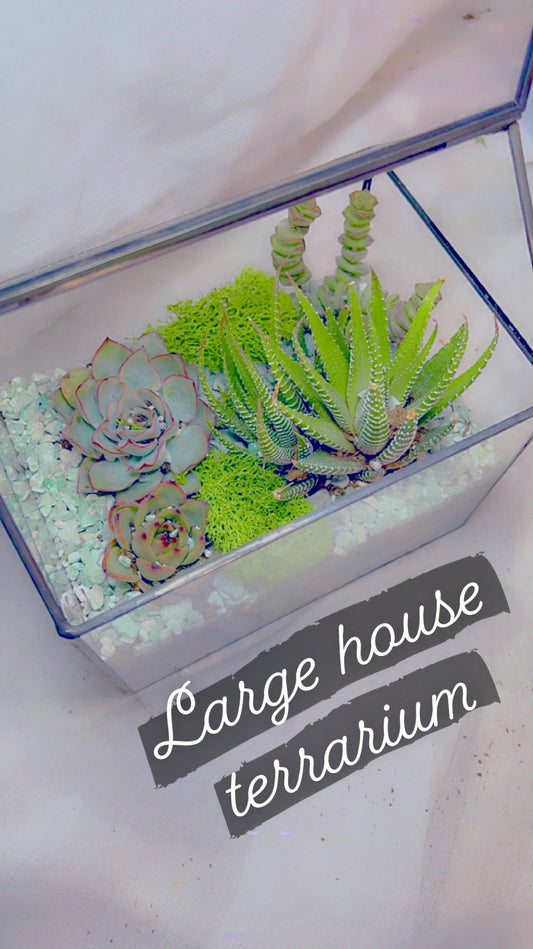 BLACK LARGE House *Create Your Own* Succulent Terrarium