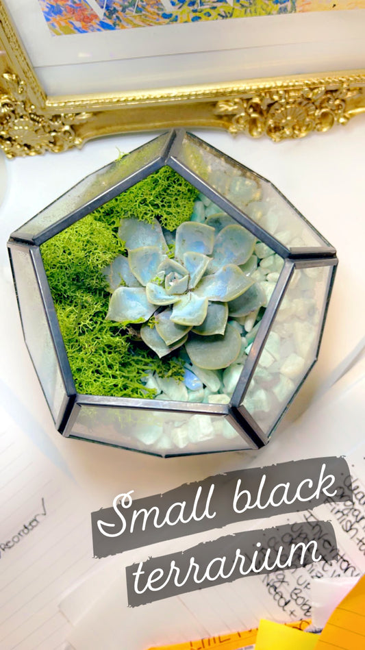 BLACK SMALL *Create Your Own* Succulent Terrarium
